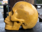 Yellow Jasper Skull [1k1425]