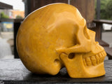Yellow Jasper Skull [1k1425]