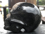 Petrified Palm Root Skull [1k1372]