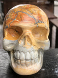 Maligano Jasper Skull [1k1360]