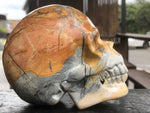 Maligano Jasper Skull [1k1360]