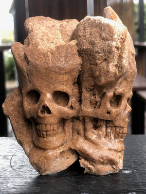Desert Rose Skull Sculpture [1k1389]