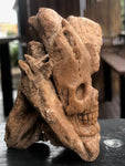 Desert Rose Skull Sculpture [1k1389]