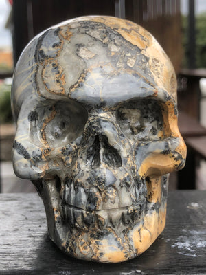 Maligano Jasper Skull [1k1362]