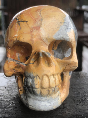 Maligano Jasper Skull [1k1364]