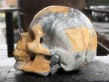 Maligano Jasper Skull [1k1364]