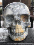 Maligano Jasper Skull [1k1361]