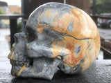 Maligano Jasper Skull [1k1361]