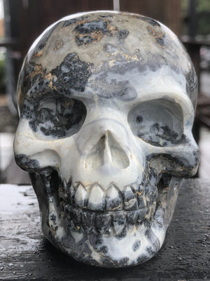 Maligano Jasper Skull [1k1363]