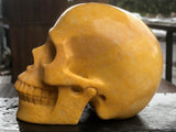 Yellow Jasper Skull [1k1461]