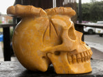 Yellow Jasper Free Spirit Skull [1k1462]