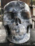 Flower Agate Skull [1k1501]