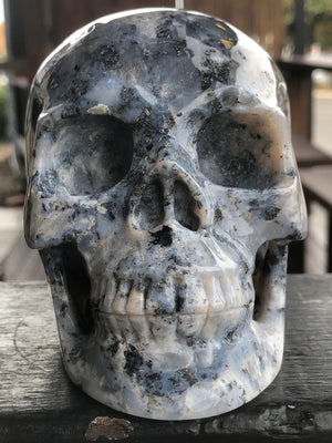 Flower Agate Skull [1k1501]