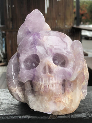 Amethyst Skull and Snake Sculpture [1k1497]