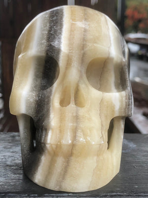 Mexican Banded Yellow and Black Calcite Skull [1k1479]