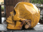 Indian Agate Skull [1k1556]