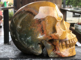 Indian Agate Skull [1k1556]
