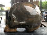 Indian Agate Jawless Skull [1k1595]
