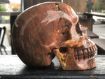 Dinosaur Egg Agate Skull [1k1570]