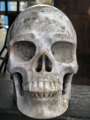 Indian Agate Skull [1k1557]
