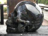 Black Zebra Agate Skull [1k1554]