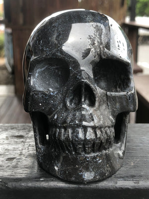 Black Zebra Agate Skull [1k1554]