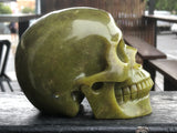 Lemon Jasper Skull [1k1516]