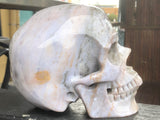 Indian Agate Skull [1k1557]