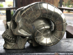 Pyrite Pan Skull [1k1539]