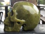 Lemon Jasper Skull [1k1516]