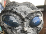Larvikite Alien with Labradorite Eyes [1k1577]